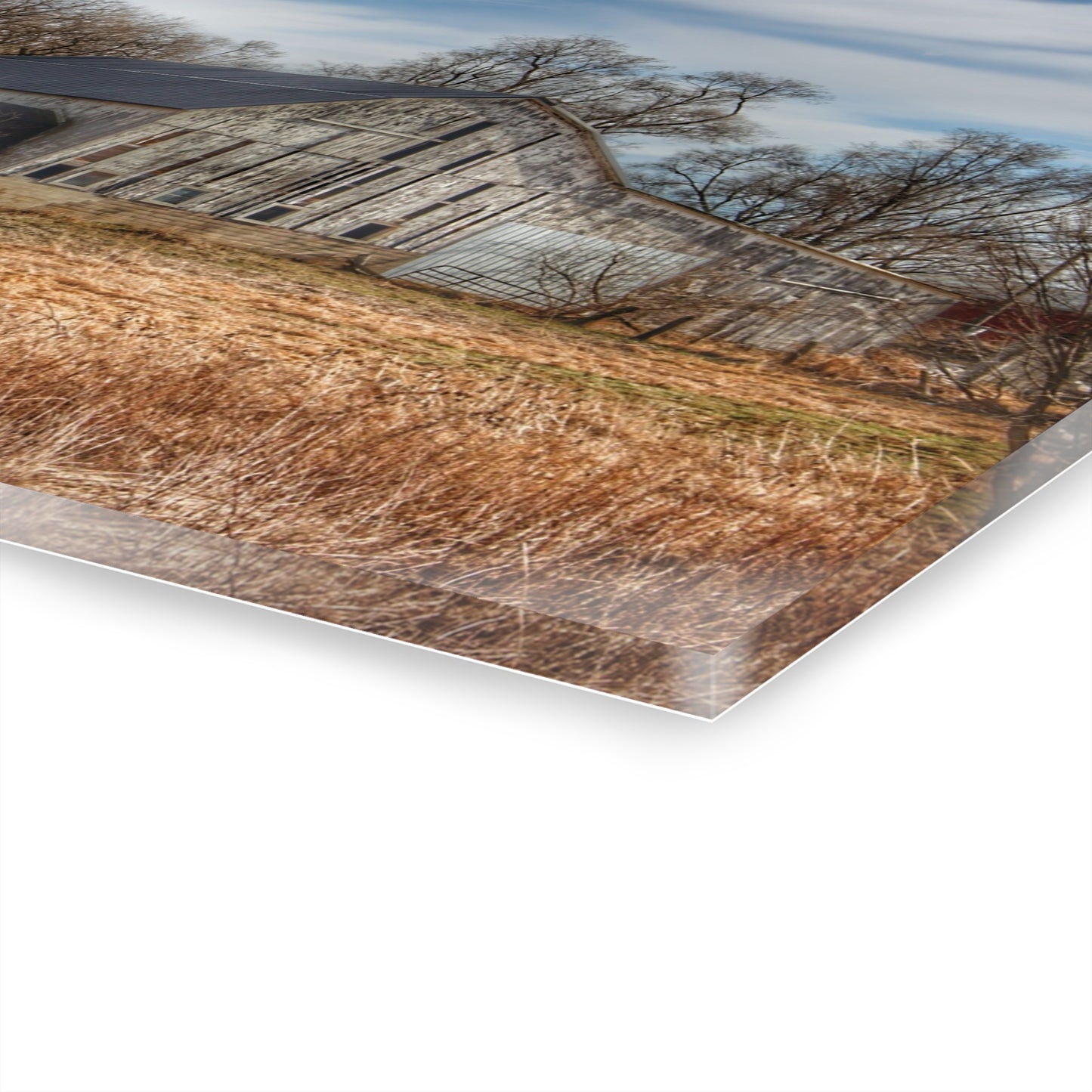 U R There Photography Newark Road White I Rustic Farmhouse Acrylic Wall Print