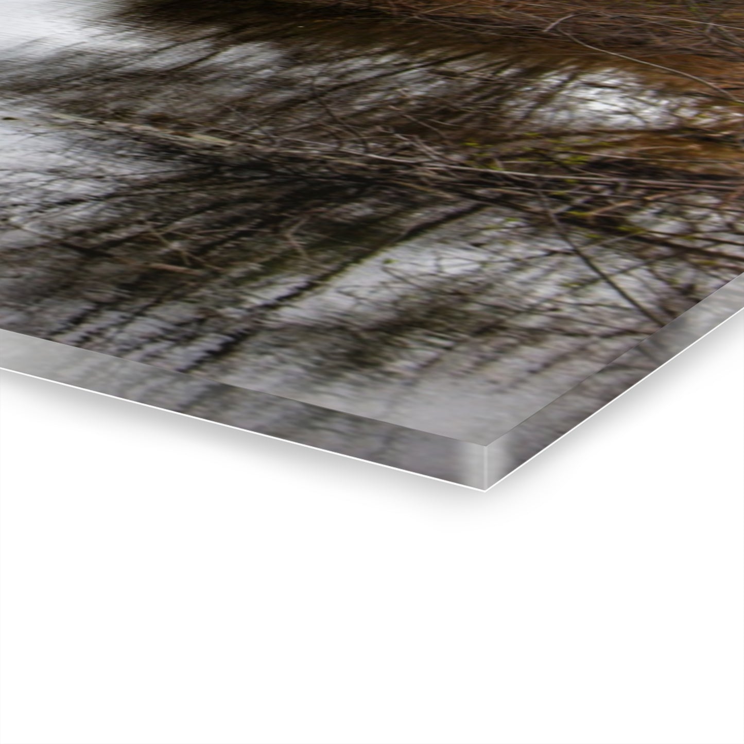 U R There Photography Private Pathways Rustic Farmhouse Acrylic Wall Print