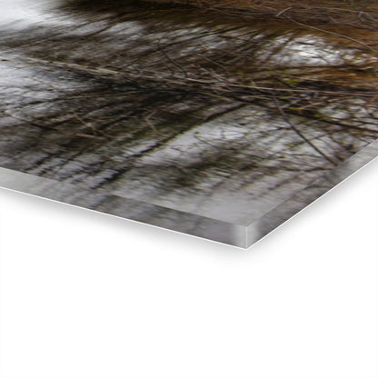 U R There Photography Private Pathways Rustic Farmhouse Acrylic Wall Print