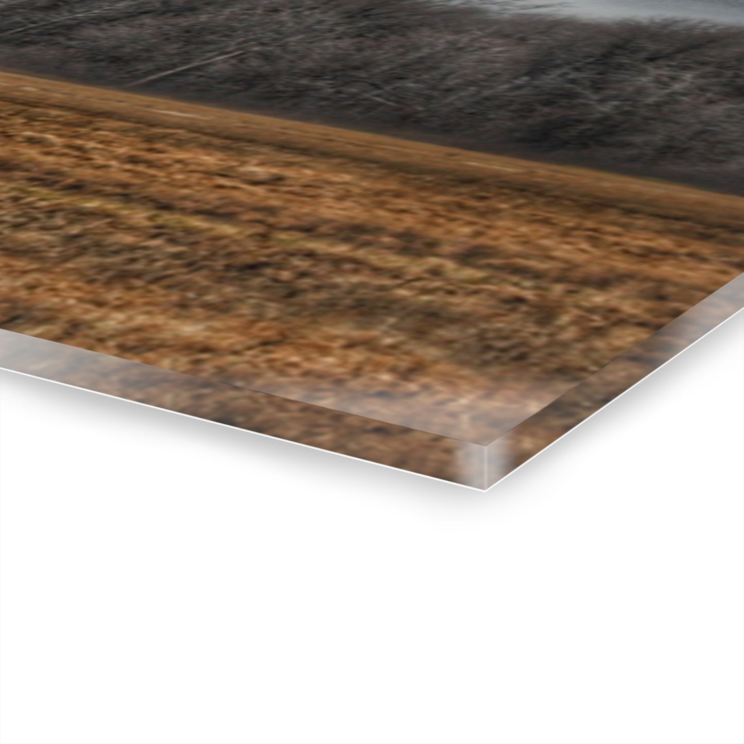 U R There Photography Grey Barn and Tree Rustic Farmhouse Acrylic Wall Print