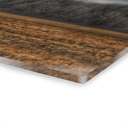 U R There Photography Grey Barn and Tree Rustic Farmhouse Acrylic Wall Print