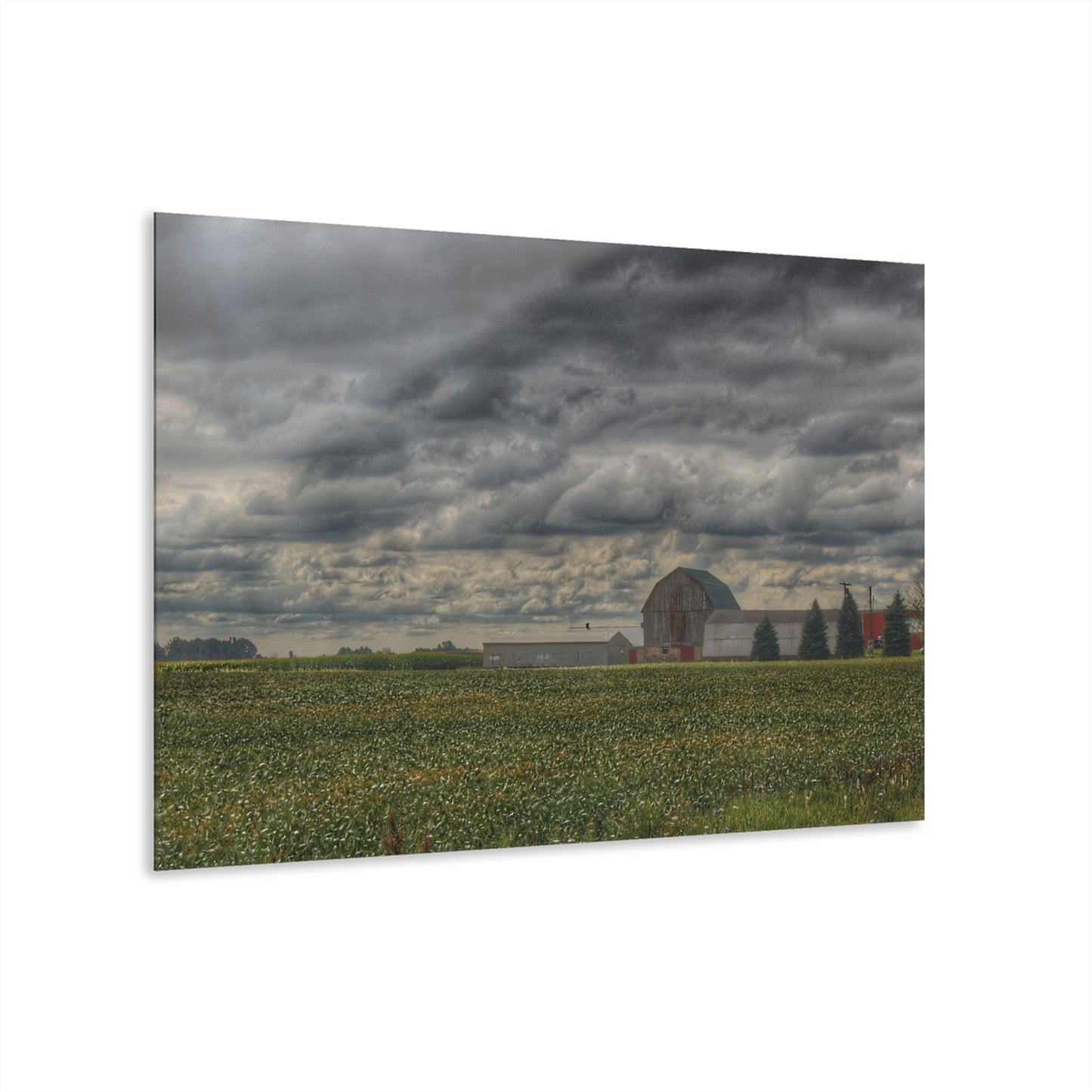 U R There Photography Early Fall on the Farm Rustic Farmhouse Acrylic Wall Print