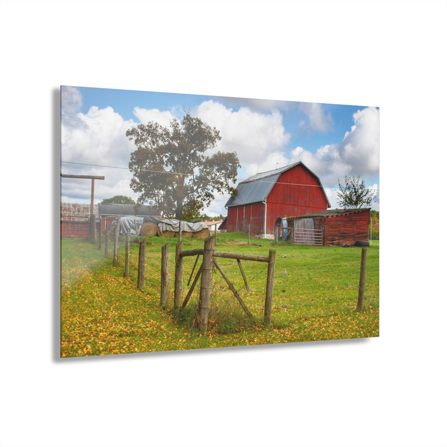 U R There Photography Beyond the Fence on Frances Road Rustic Farmhouse Acrylic Wall Print