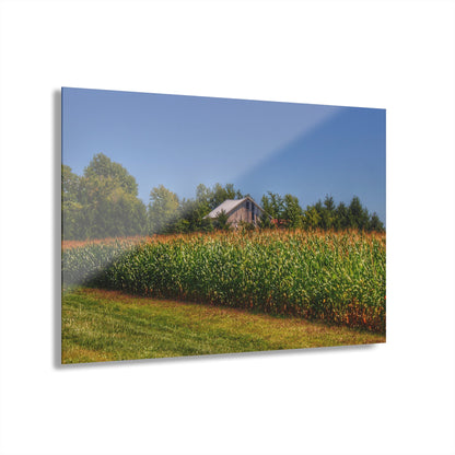 U R There Photography Beyond the Corn on Birch Road Run Rustic Farmhouse Acrylic Wall Print 14 "x 11