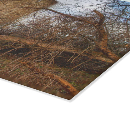 U R There Photography Hidden Silo of Fostoria Road Rustic Farmhouse Tempered-Glass Cutting Board