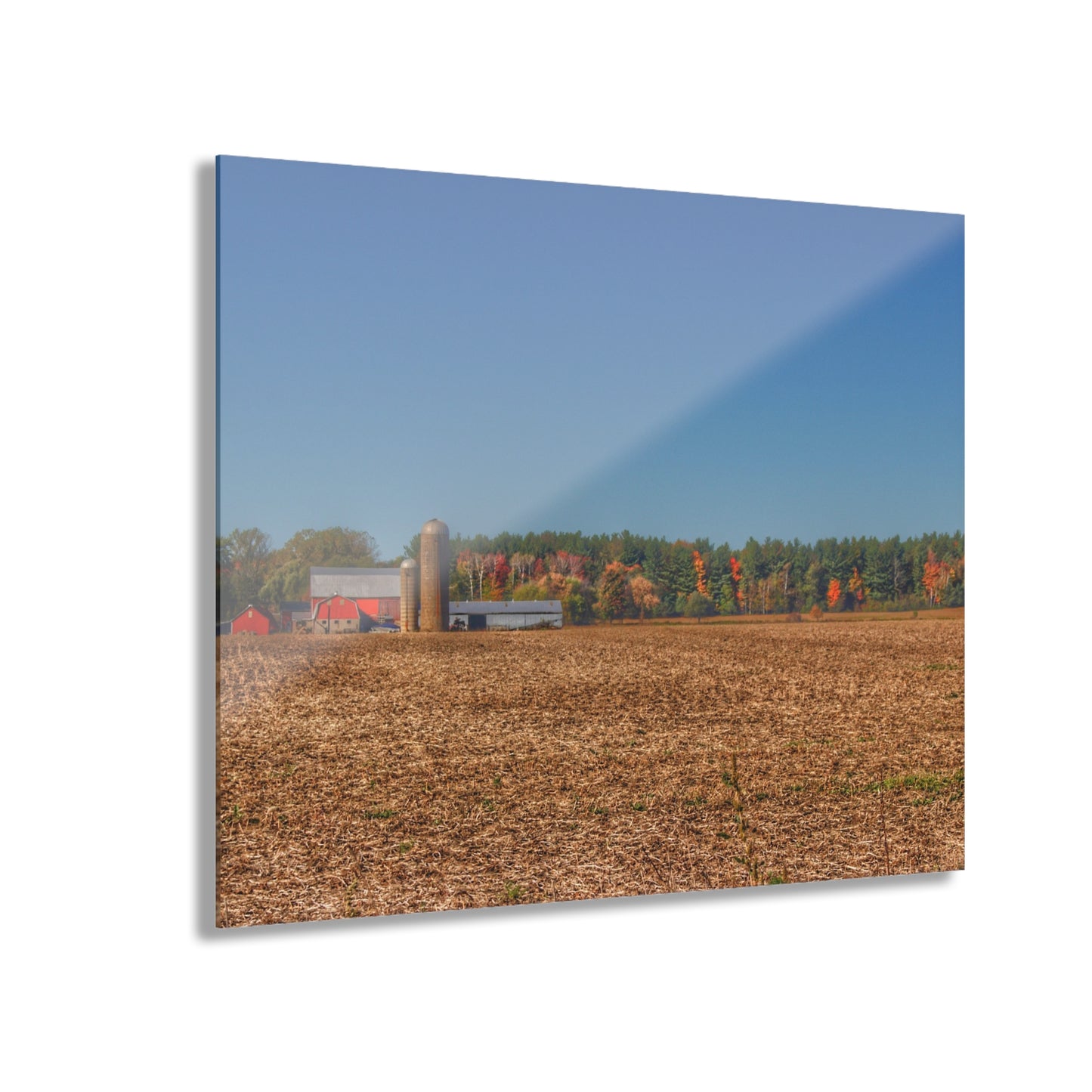 U R There Photography Rowe Road Farm Across the Field Rustic Farmhouse Acrylic Wall Print