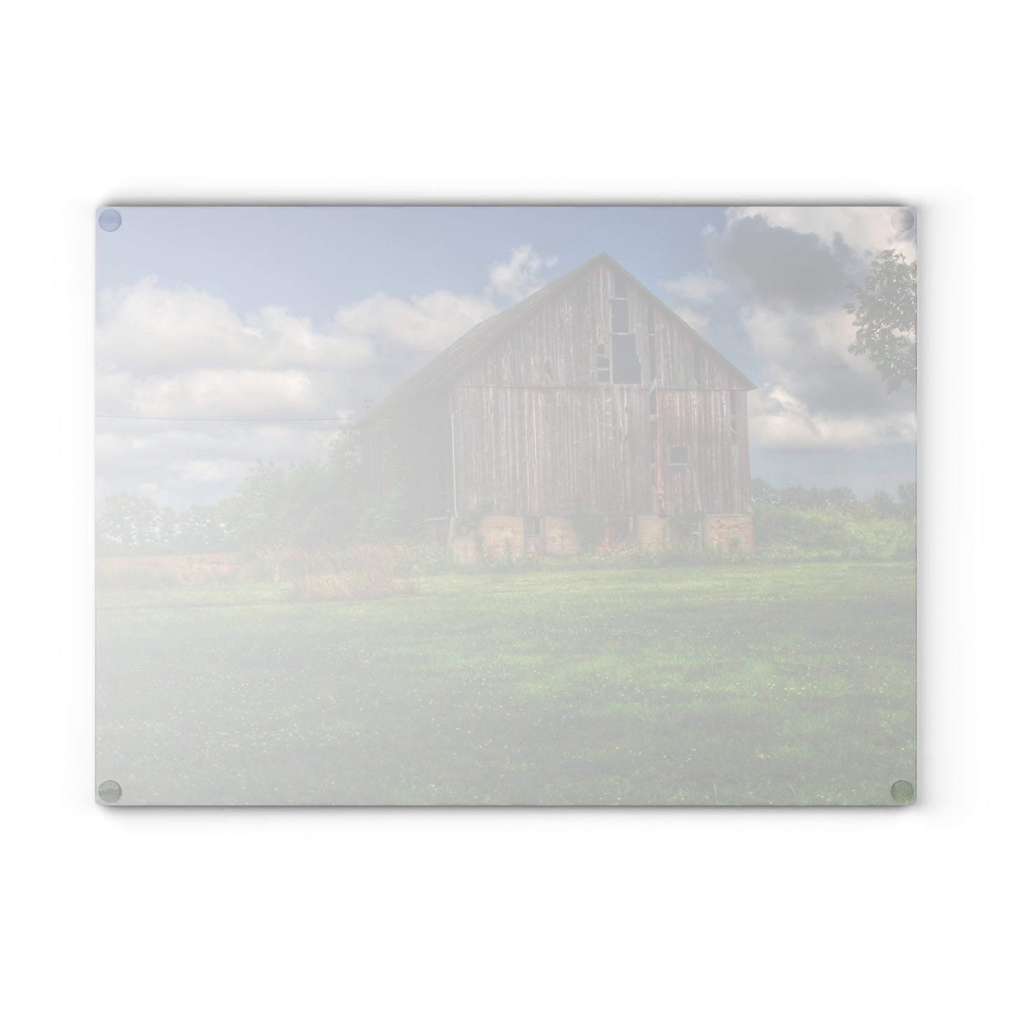 U R There Photography Bohms Road Grey II Rustic Farmhouse Tempered-Glass Cutting Board