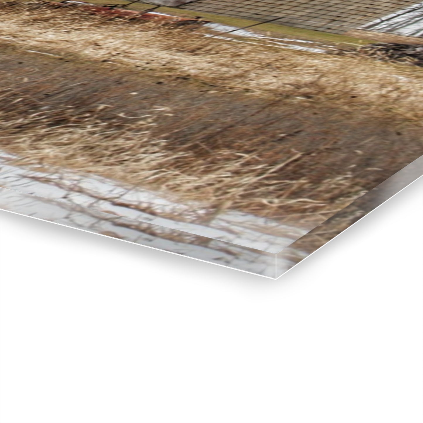 U R There Photography Norway Lake Road Grey Rustic Farmhouse Acrylic Wall Print