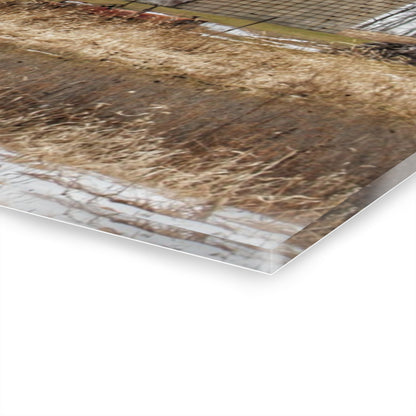 U R There Photography Norway Lake Road Grey Rustic Farmhouse Acrylic Wall Print