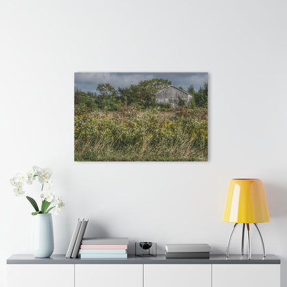 U R There Photography Almont Road Grey Rustic Farmhouse Acrylic Wall Print