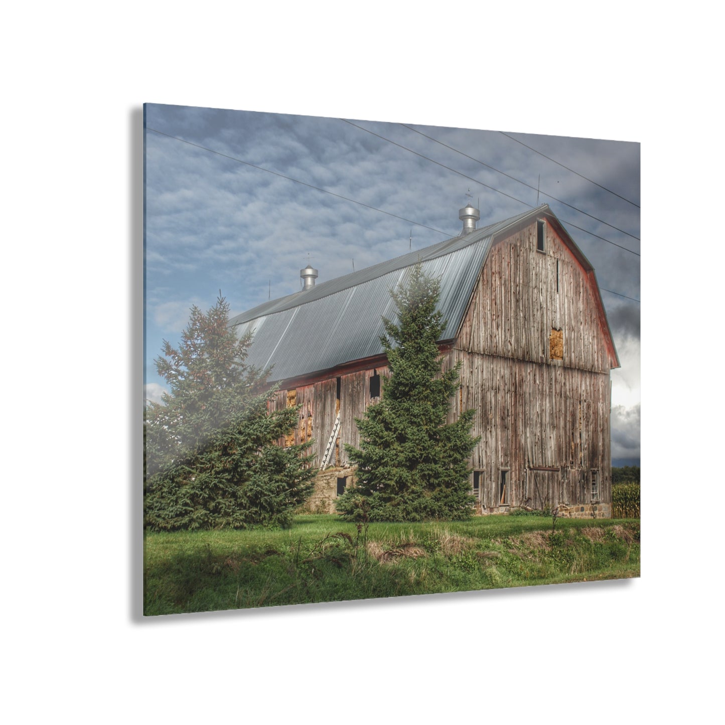 U R There Photography North Irish Red III Rustic Farmhouse Acrylic Wall Print