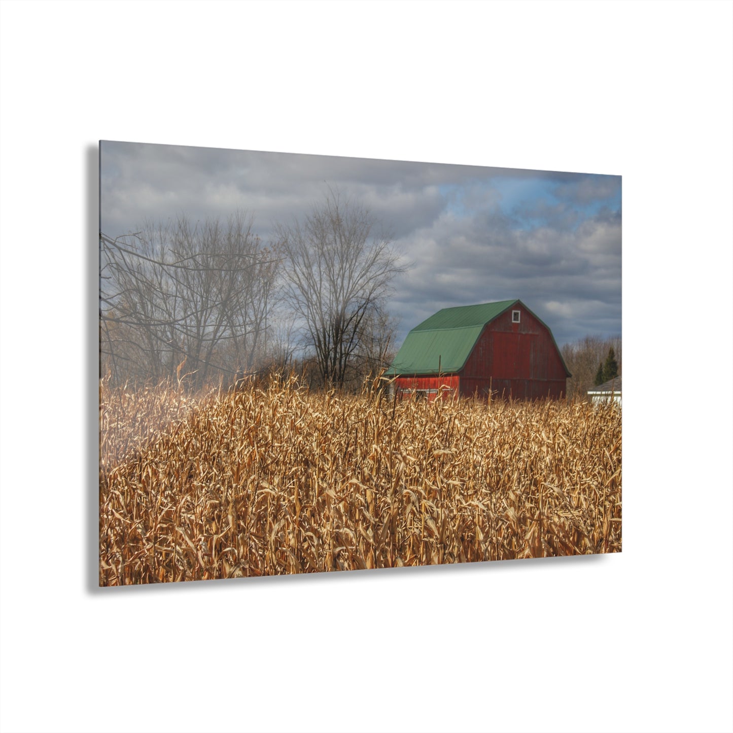 U R There Photography North Force Road Hidden Red Rustic Farmhouse Acrylic Wall Print