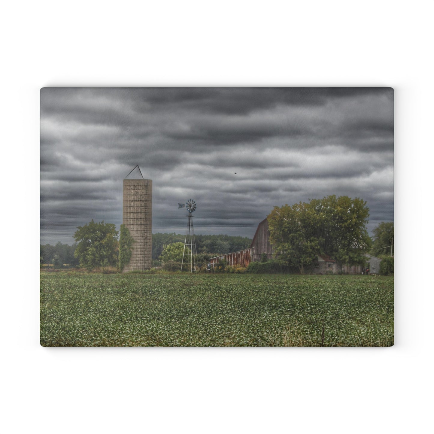 U R There Photography Rider Road Grey Rustic Farmhouse Tempered-Glass Cutting Board