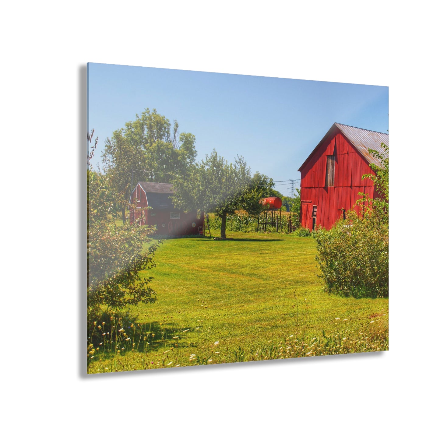 U R There Photography East Farrand Reds Rustic Farmhouse Acrylic Wall Print