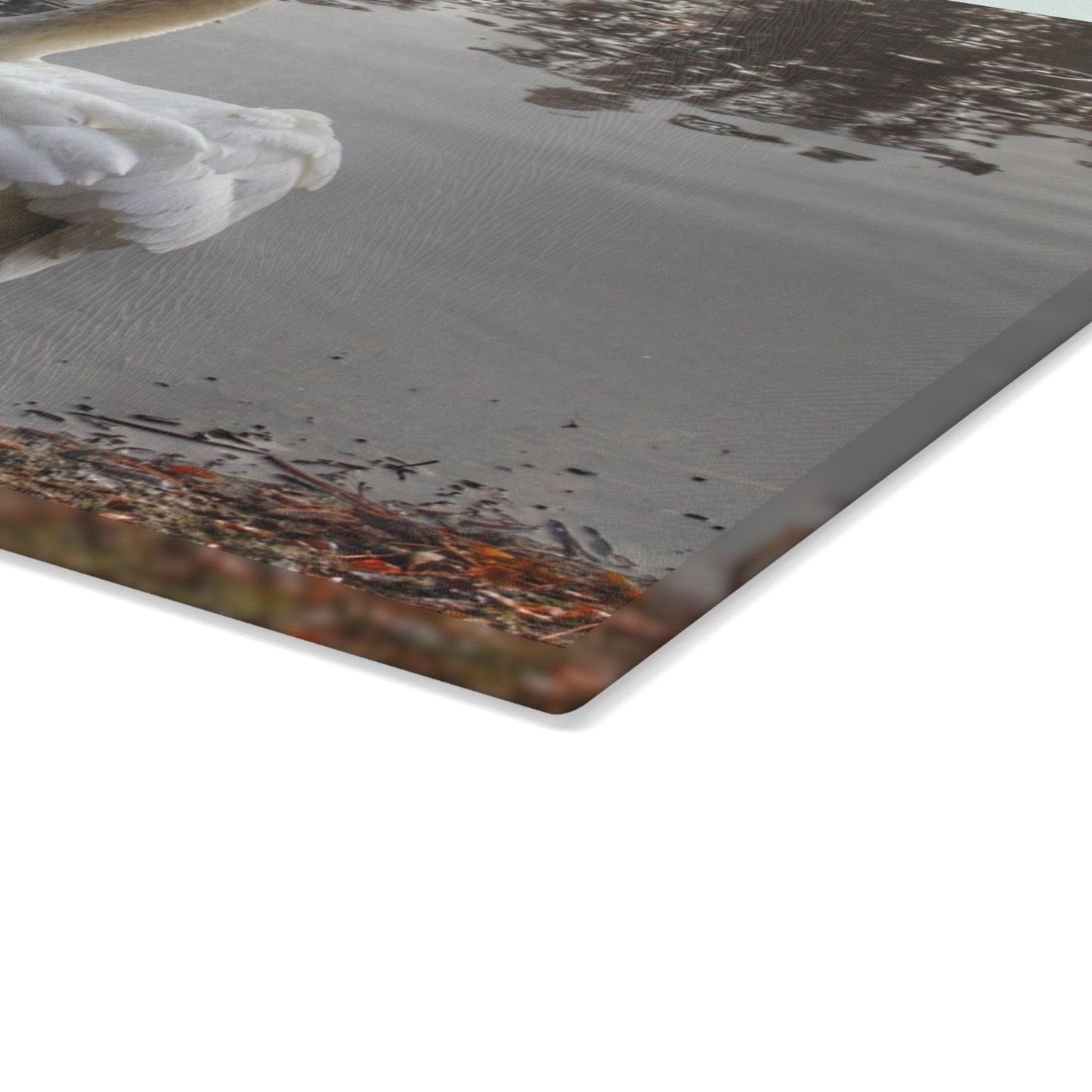 U R There Photography Swans of Duck Lake III Rustic Farmhouse Tempered-Glass Cutting Board