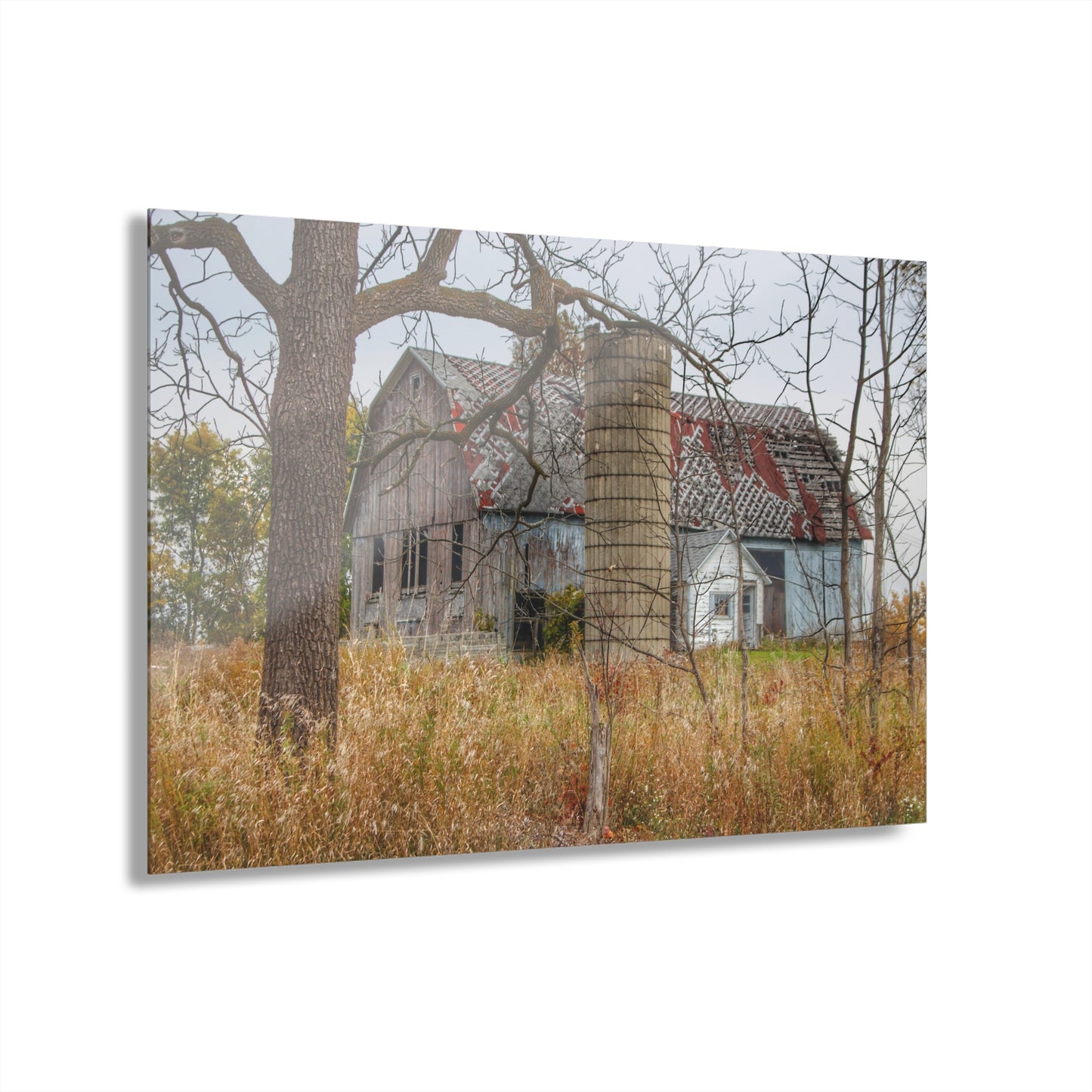 U R There Photography Hill Road Roadside Grey II Rustic Farmhouse Acrylic Wall Print