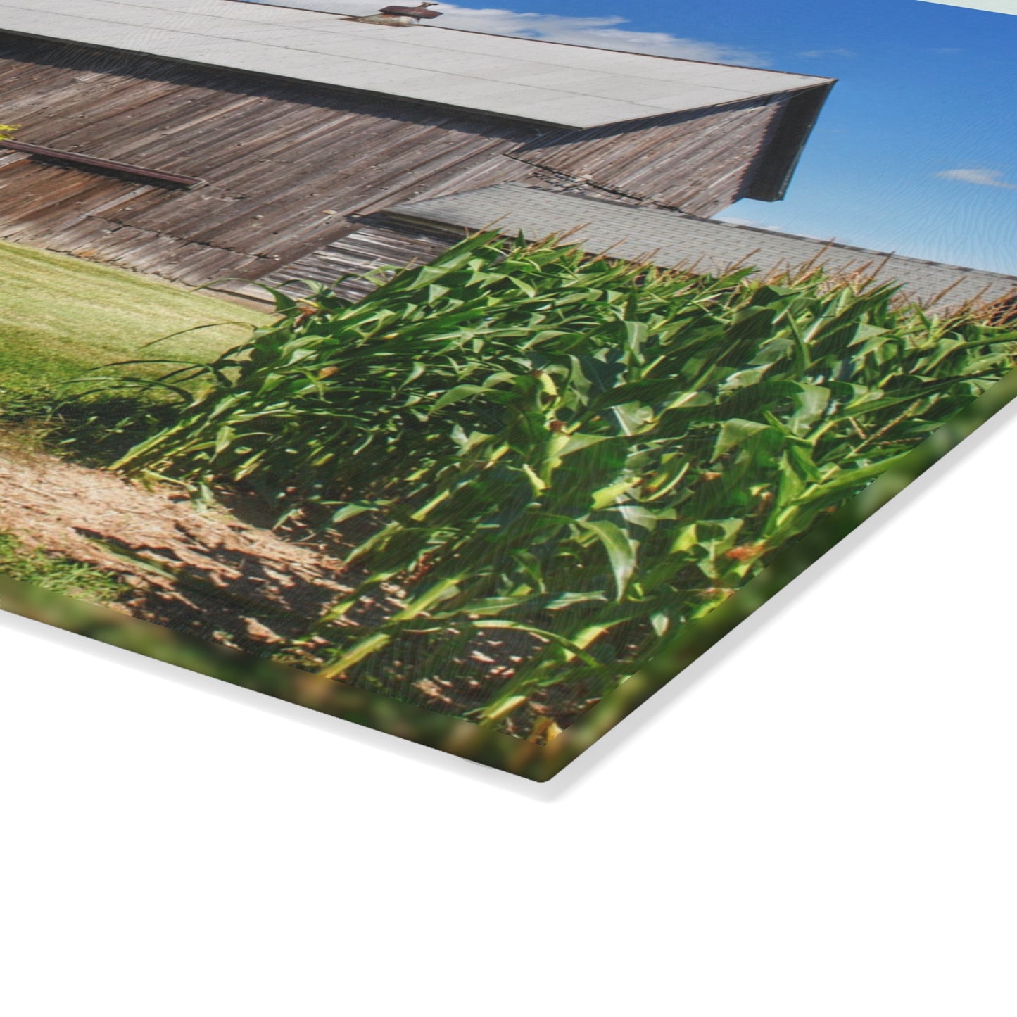 U R There Photography Frog Barn Rustic Farmhouse Tempered-Glass Cutting Board