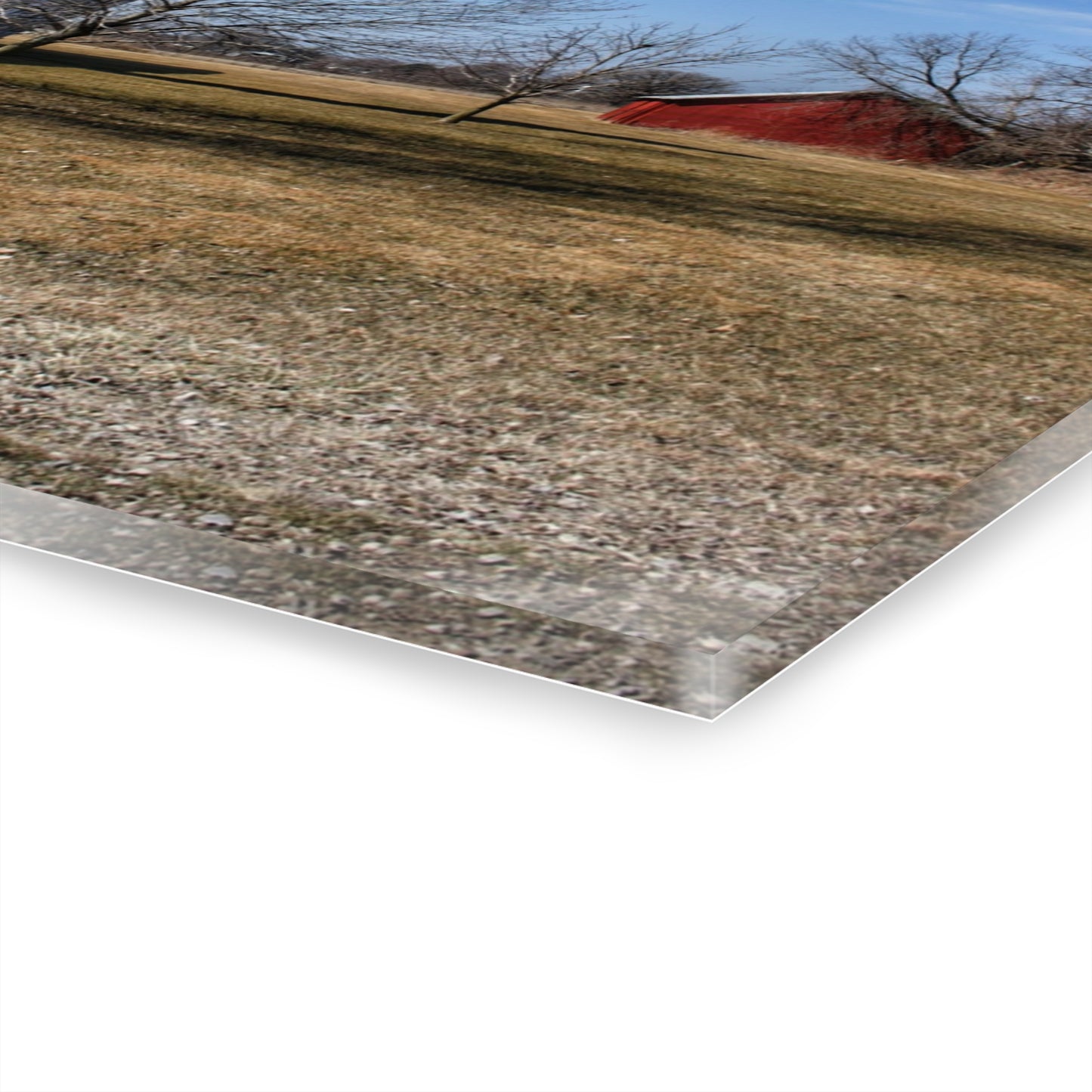 U R There Photography Romeo Plank Road Reds I Rustic Farmhouse Acrylic Wall Print