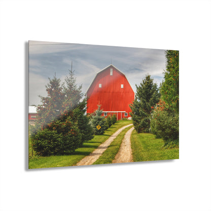 U R There Photography Brown City Road Pine Red Rustic Farmhouse Acrylic Wall Print