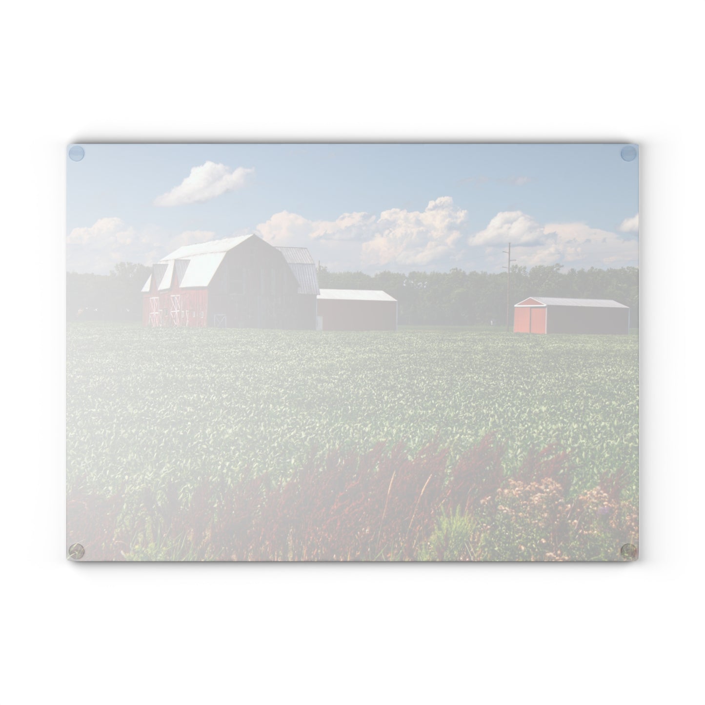 U R There Photography South Gera Road Red Rustic Farmhouse Tempered-Glass Cutting Board