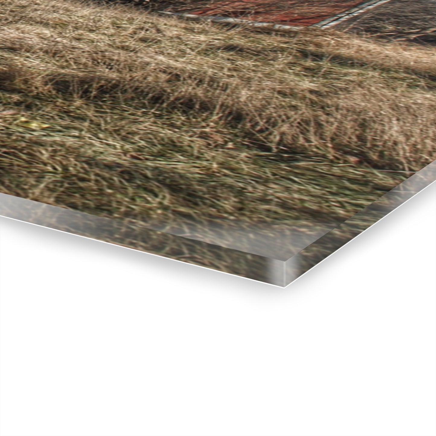 U R There Photography Lapeer Road Crooked Red Rustic Farmhouse Acrylic Wall Print