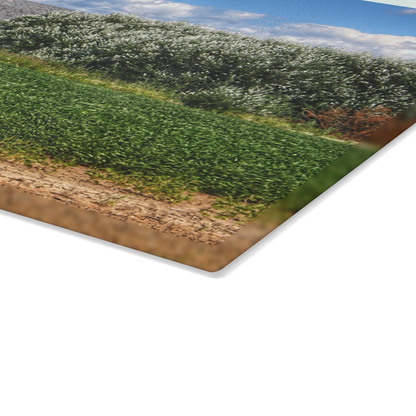 U R There Photography Lake Road Grey Rustic Farmhouse Tempered-Glass Cutting Board