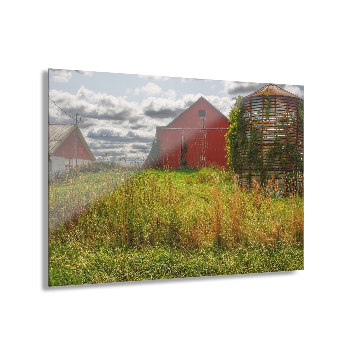 U R There Photography Roadside Relics Rustic Farmhouse Acrylic Wall Print