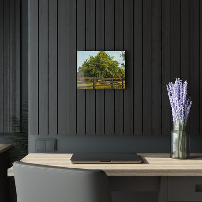 U R There Photography Country Fence and Tree in Metamora Rustic Farmhouse Acrylic Wall Print