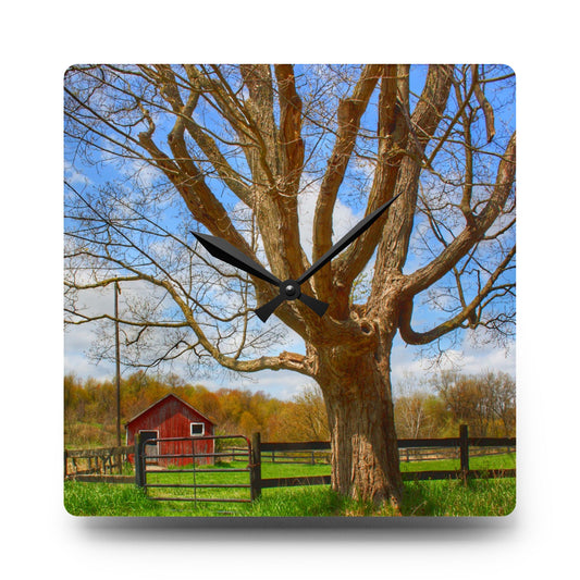 Delano Oak and Little Red Rustic Farmhouse Acrylic Analog Wall Clock 10.75'' × 10.75'' (Square)
