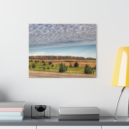 U R There Photography Fences, Firs and Fall Rustic Farmhouse Acrylic Wall Print
