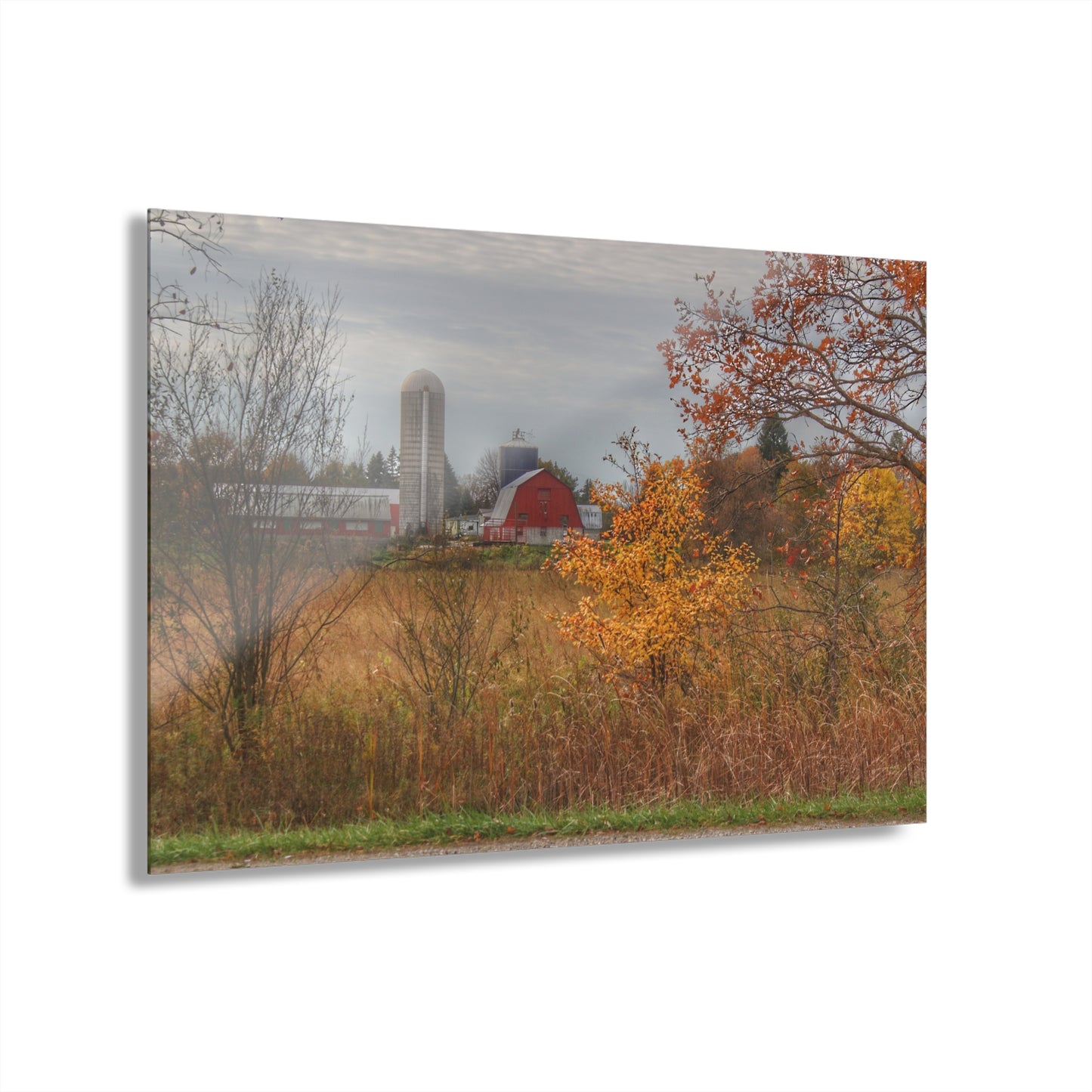 U R There Photography Vienna Road Red and Silo Rustic Farmhouse Acrylic Wall Print