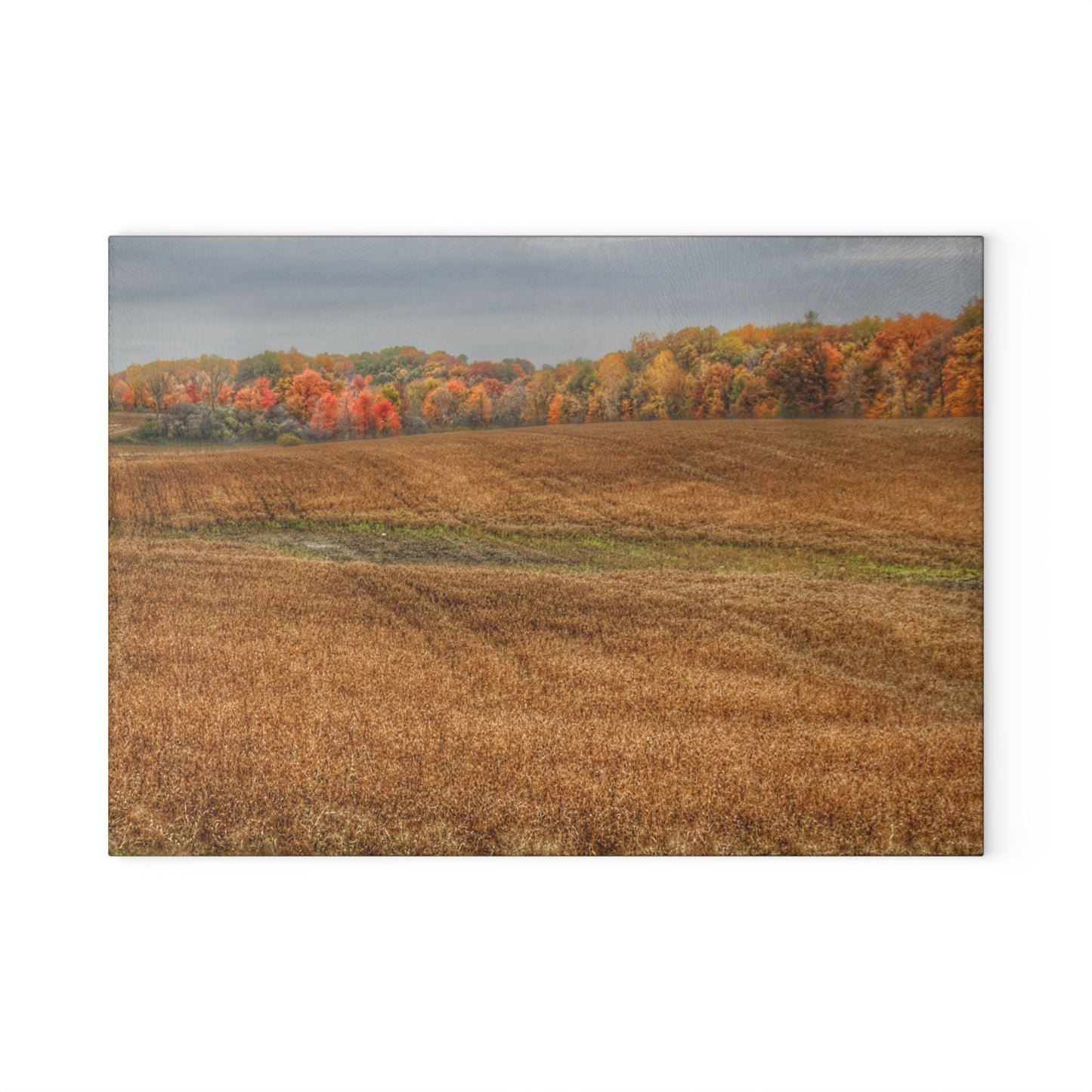 U R There Photography Colors of Fall on Lippincott Road Rustic Farmhouse Tempered-Glass Cutting Board