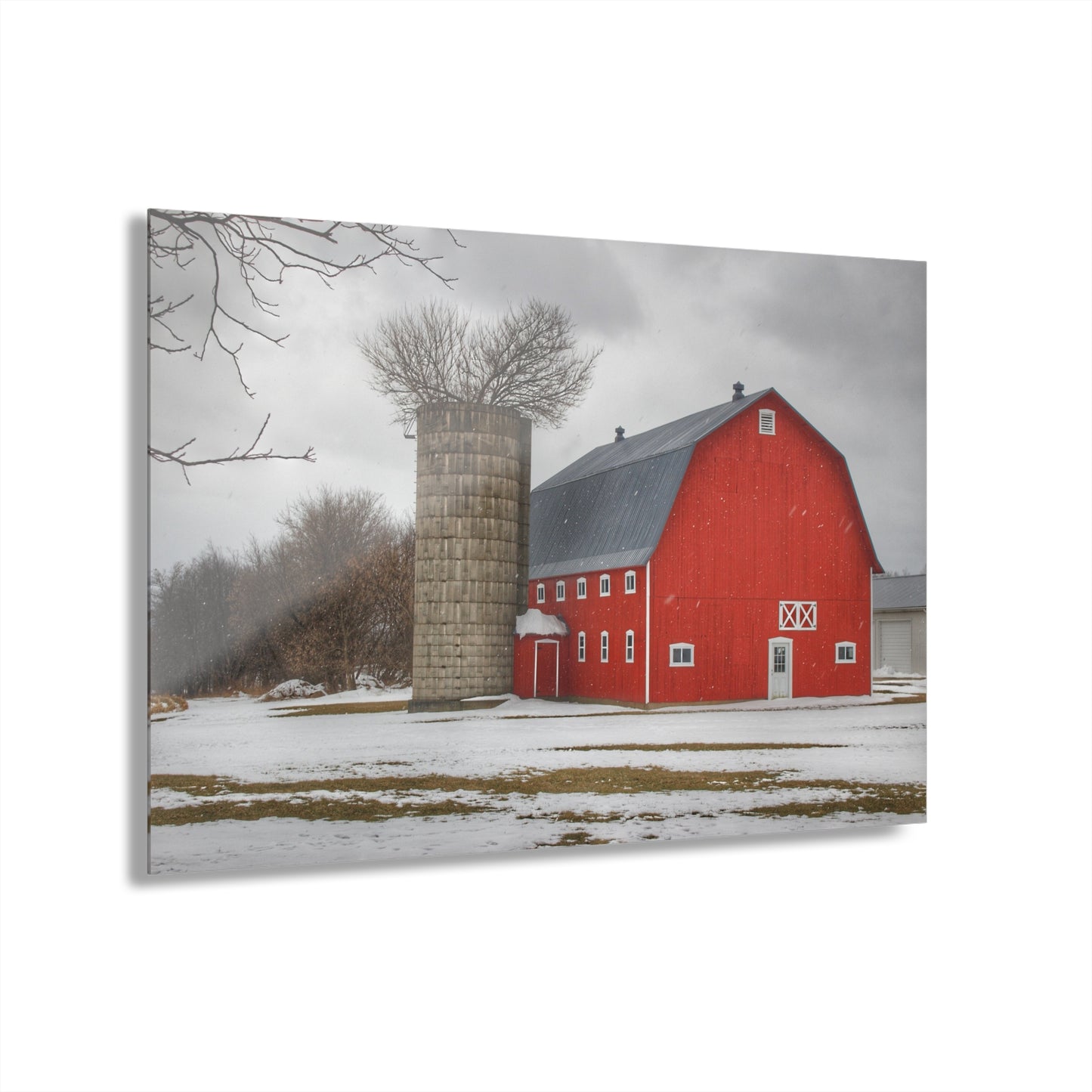U R There Photography Hollow Corners Red Tree Silo I Rustic Farmhouse Acrylic Wall Print