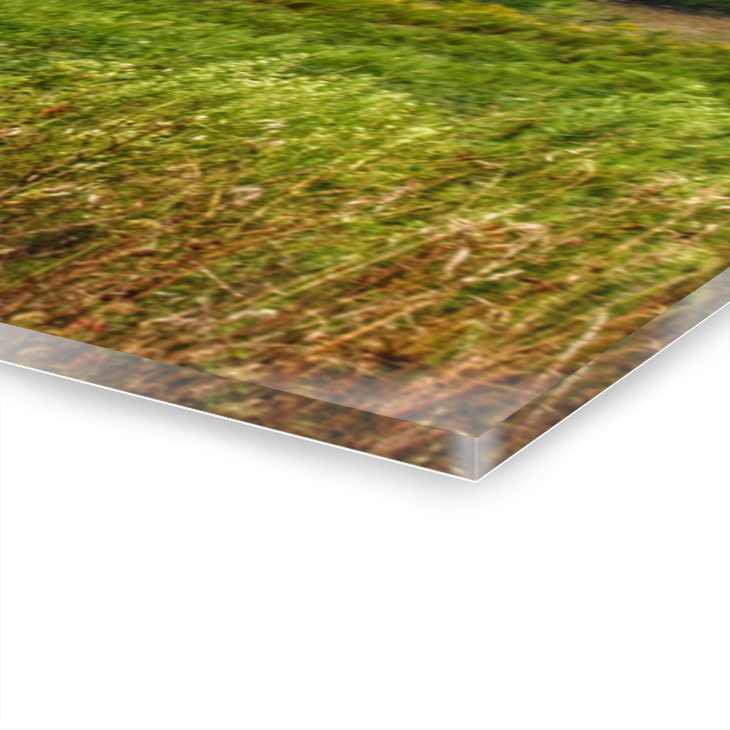 U R There Photography Frankford Road Grey Rustic Farmhouse Acrylic Wall Print