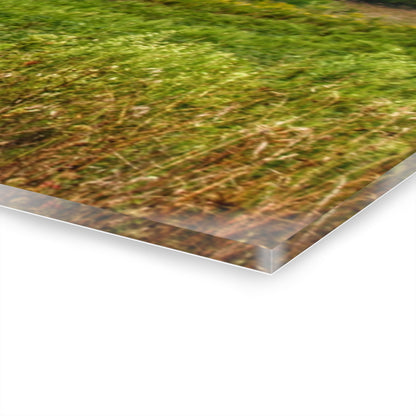 U R There Photography Frankford Road Grey Rustic Farmhouse Acrylic Wall Print