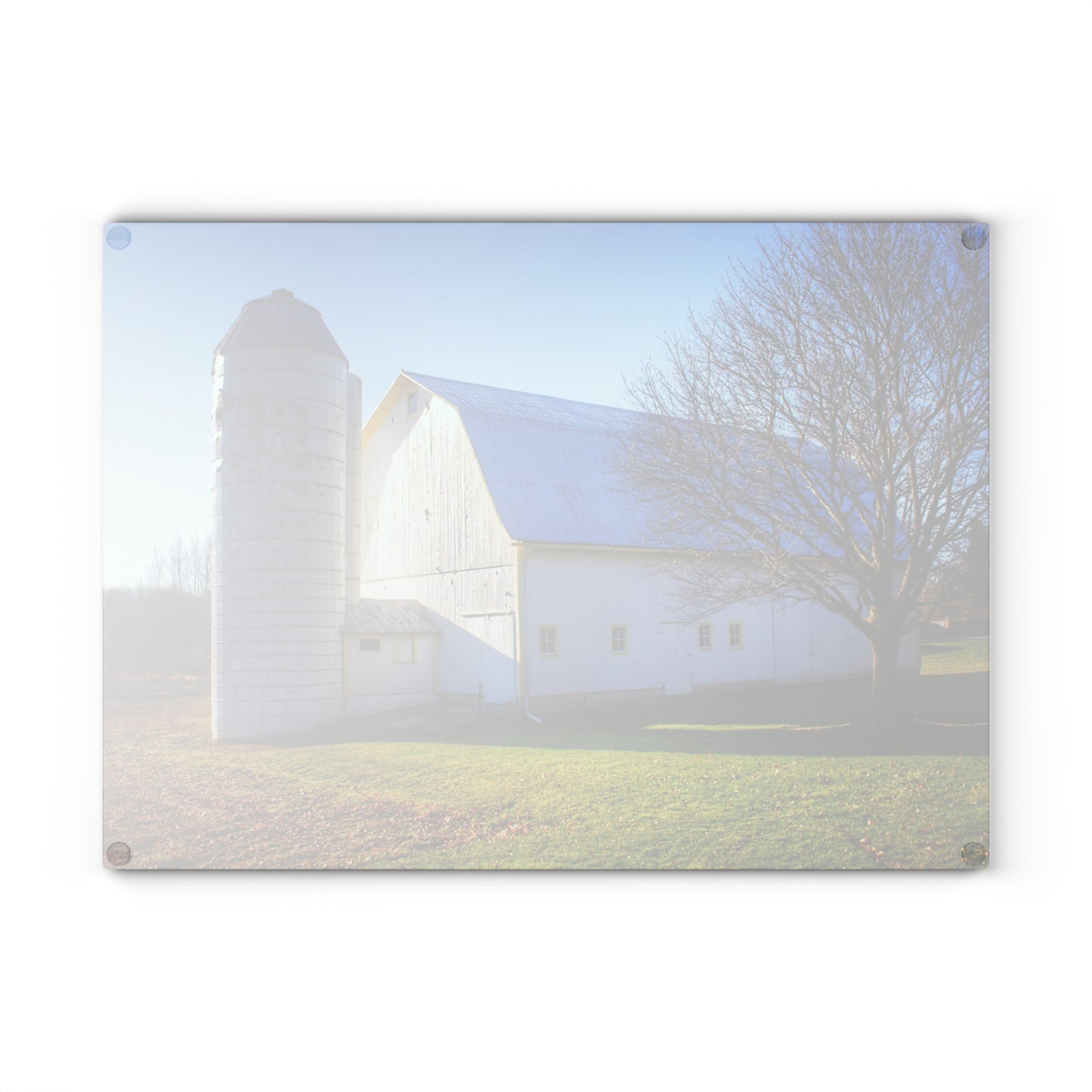 U R There Photography Elba White Rustic Farmhouse Tempered-Glass Cutting Board