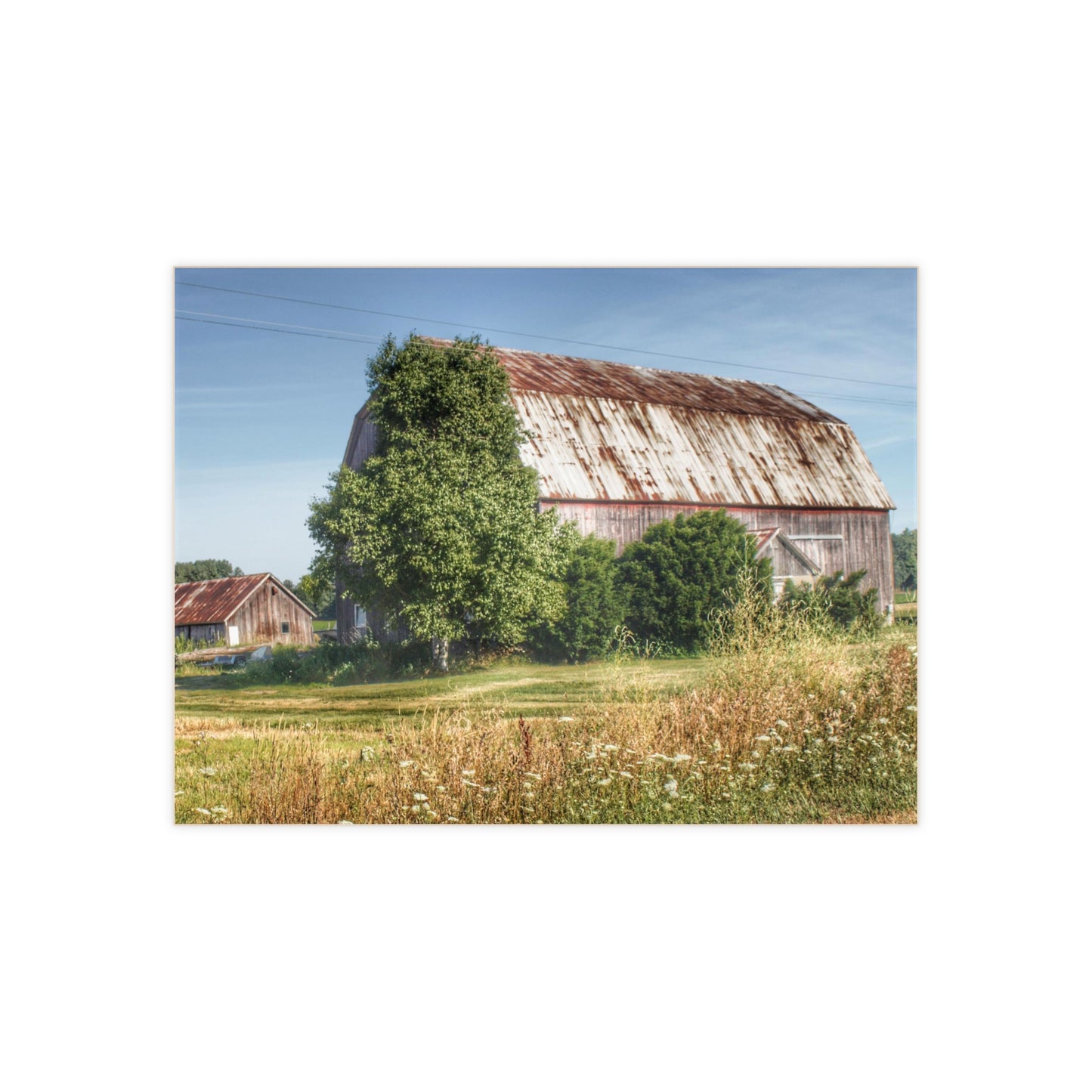 U R There Photography Barkley Road Red in Summer II Rustic Farmhouse Decorative Ceramic Tile