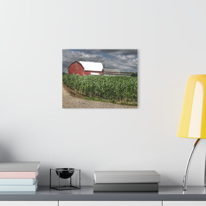 U R There Photography Millington Road Reds Rustic Farmhouse Acrylic Wall Print