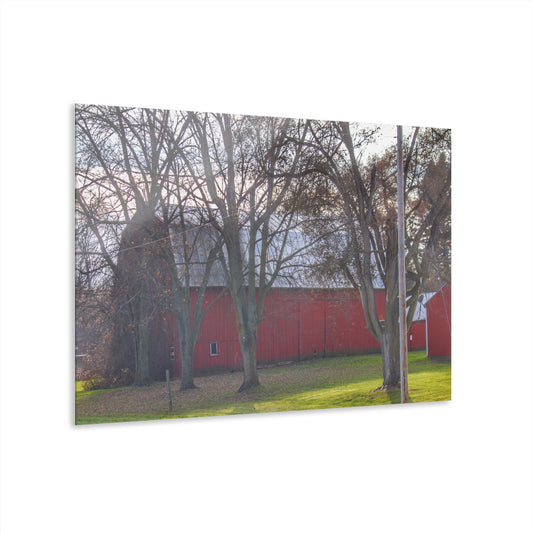 U R There Photography Vienna Road Hidden Red Rustic Farmhouse Acrylic Wall Print