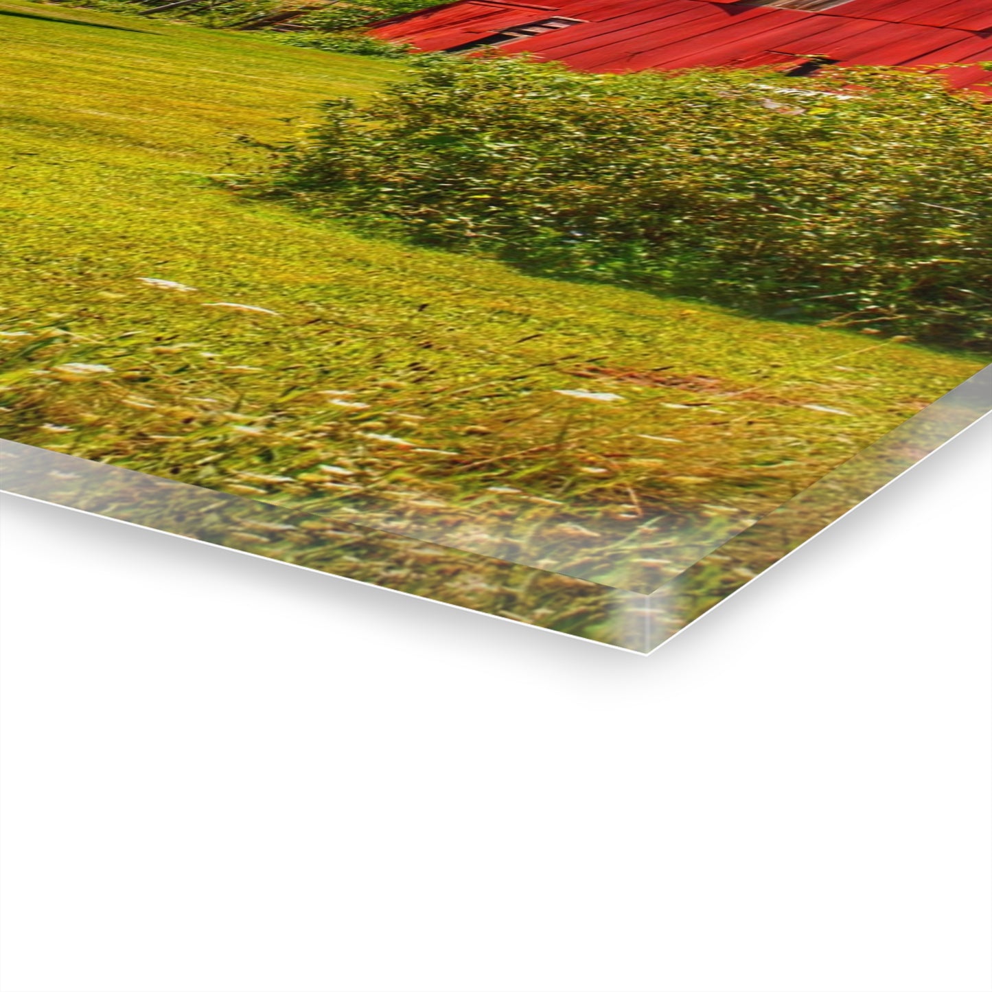 U R There Photography East Farrand Reds Rustic Farmhouse Acrylic Wall Print