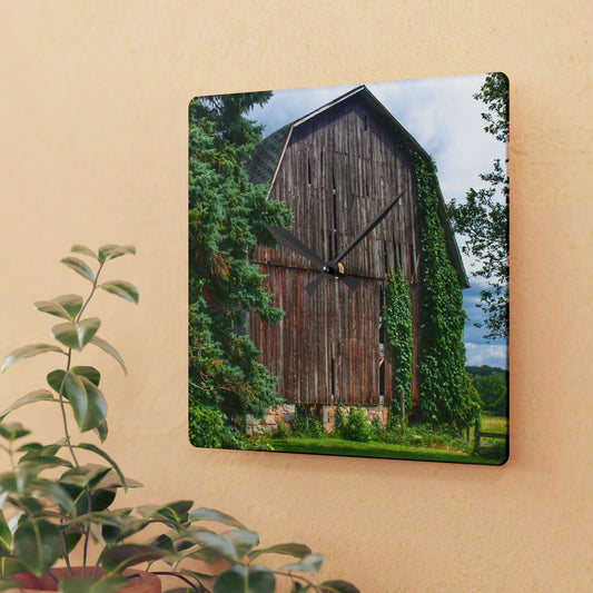 U R There Photography North Branch Ivy Grey I Rustic Farmhouse Acrylic Analog Wall Clock