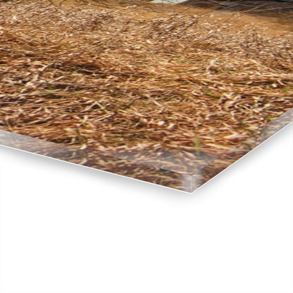 U R There Photography Klam Road Rusted Reds Rustic Farmhouse Acrylic Wall Print