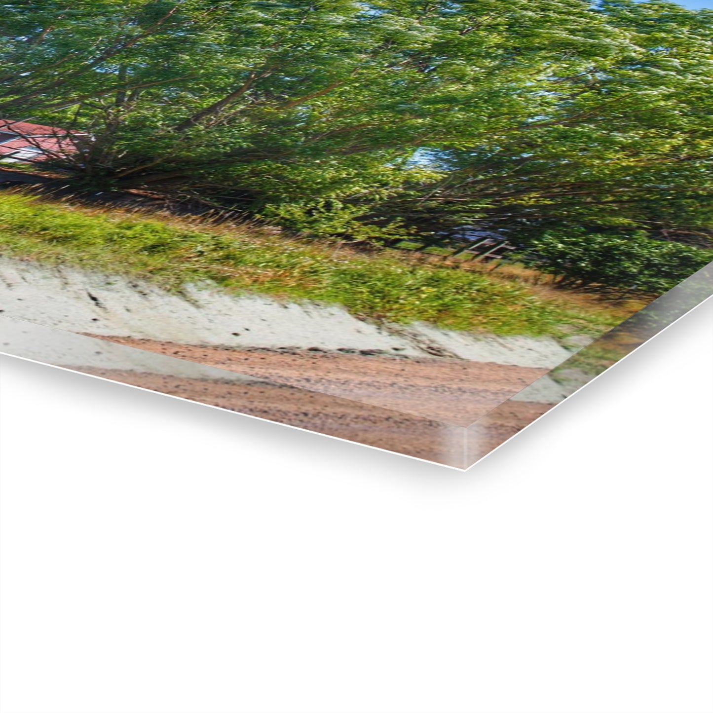 U R There Photography East Farrand Grey Rustic Farmhouse Acrylic Wall Print