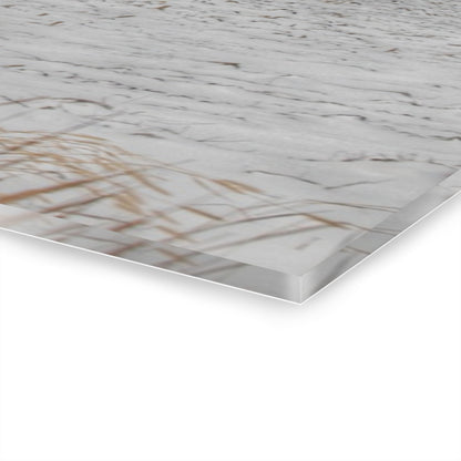 U R There Photography Maple Valley Road Red II Rustic Farmhouse Acrylic Wall Print