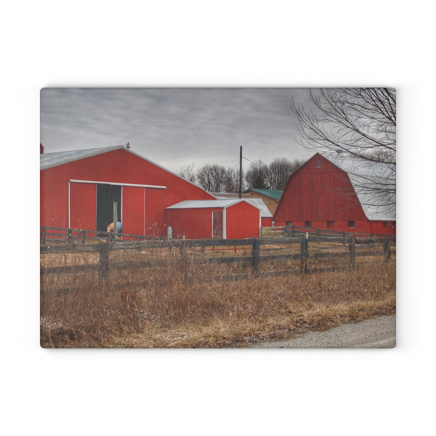 U R There Photography January Reds Rustic Farmhouse Tempered-Glass Cutting Board