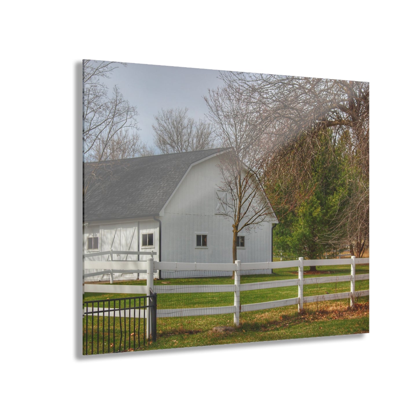 U R There Photography Collins Road White Rustic Farmhouse Acrylic Wall Print