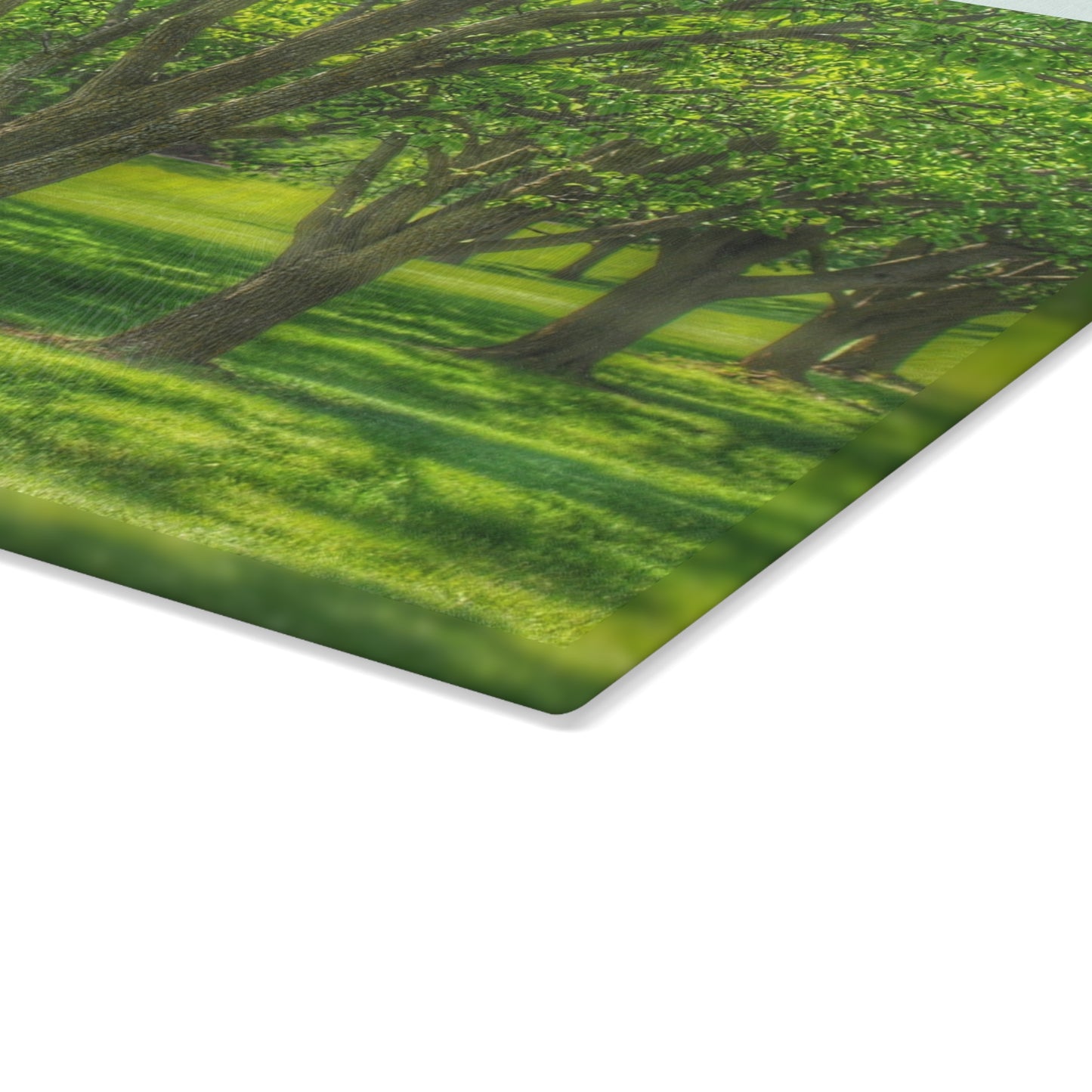U R There Photography Spring Trees in Chartreuse Rustic Farmhouse Tempered-Glass Cutting Board