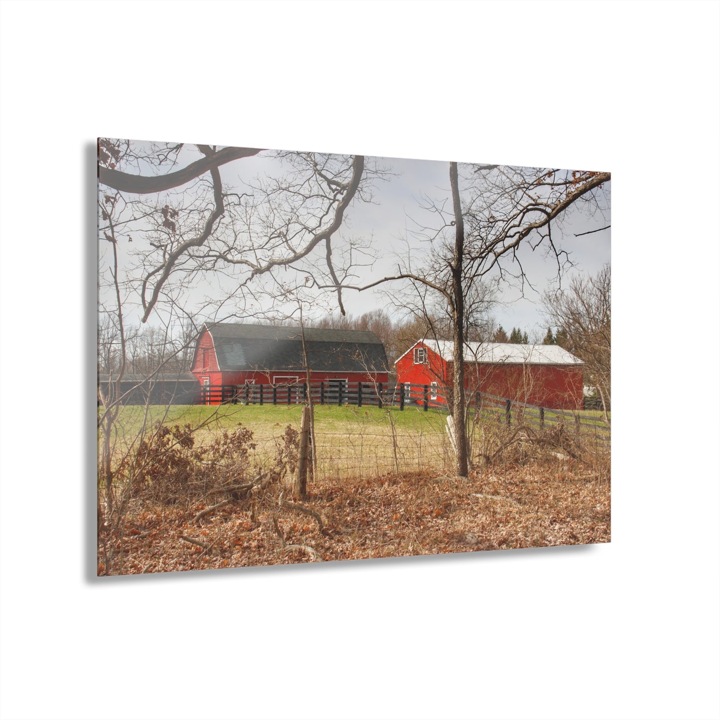 U R There Photography Hidden Hosner Reds Rustic Farmhouse Acrylic Wall Print