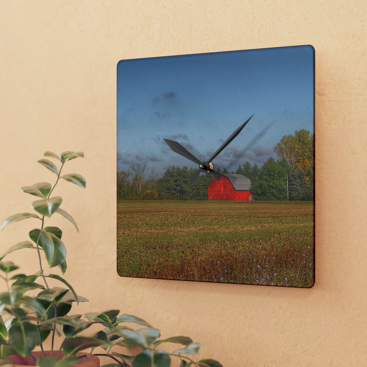U R There Photography Fargo Road Little Red Rustic Farmhouse Acrylic Analog Wall Clock