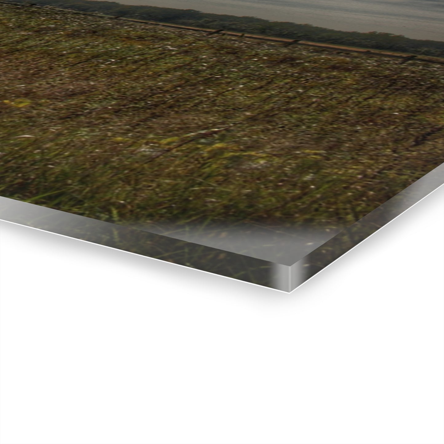 U R There Photography Mushroom Road Red I Rustic Farmhouse Acrylic Wall Print